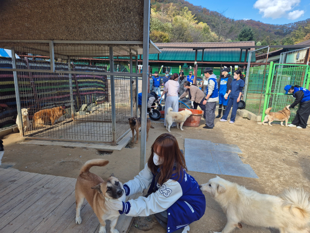 봉사활동 진행사진