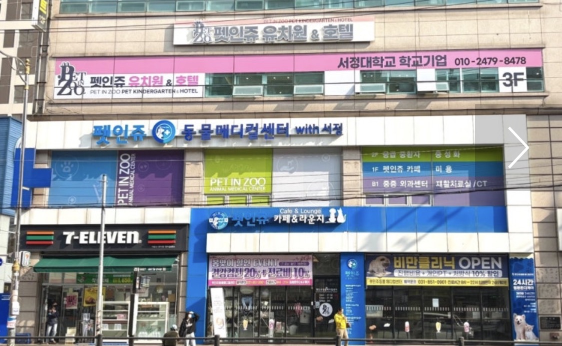 펫 피트니스 기구들이 놓여있는 센터 사진